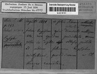 Herbarium specimen label