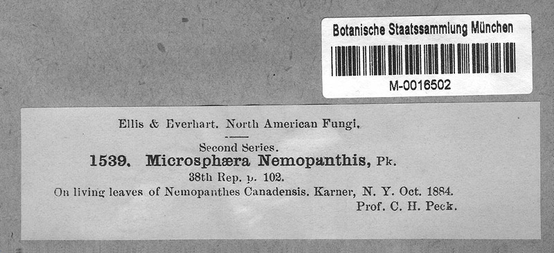 m0016502